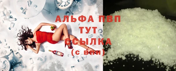 PSILOCYBIN Аркадак