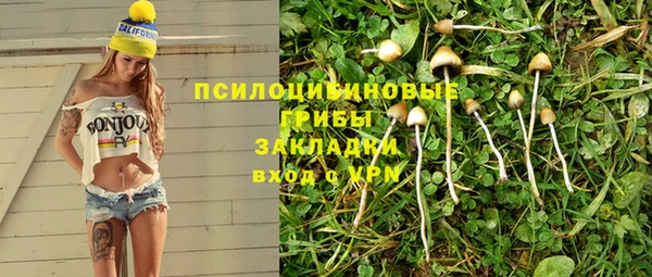 соль ск Медногорск