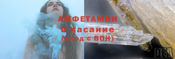 PSILOCYBIN Аркадак